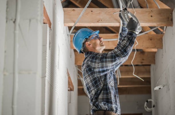 Best Electrical System Inspection  in Lemay, MO